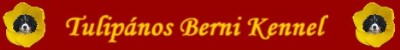 Zwinger Tulip�nos Berni